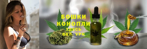 прущие крисы Арсеньев