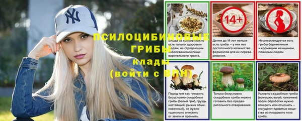 каннабис Баксан